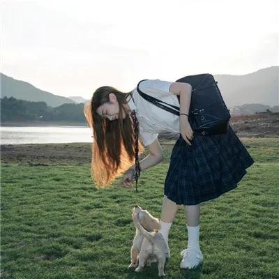 苹果橘子经济学